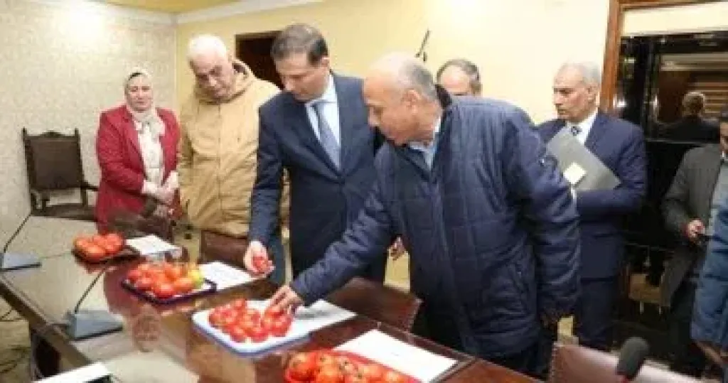 استنباط 8 أصناف طماطم جديدة