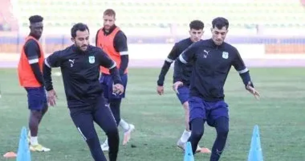المصرى