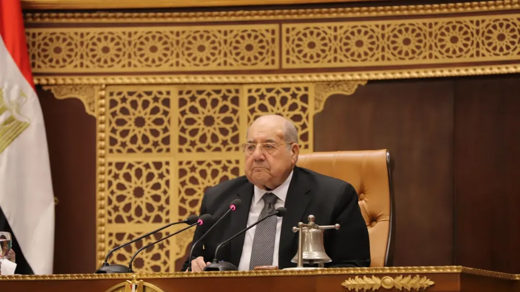 المستشار عبد الوهاب عبد الرازق، رئيس مجلس الشيوخ
