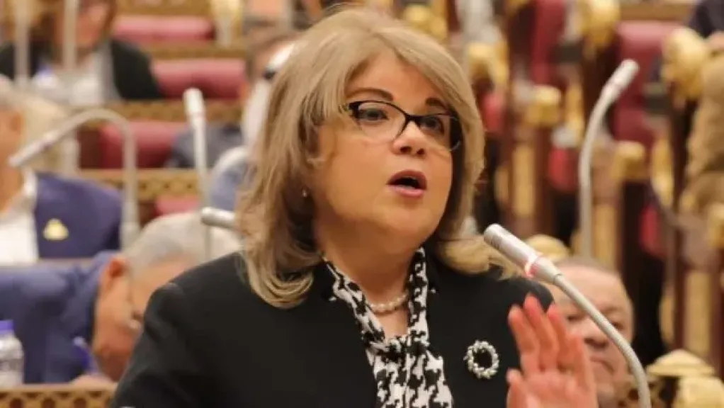 النائبة فيبي فوزي وكيل مجلس الشيوخ