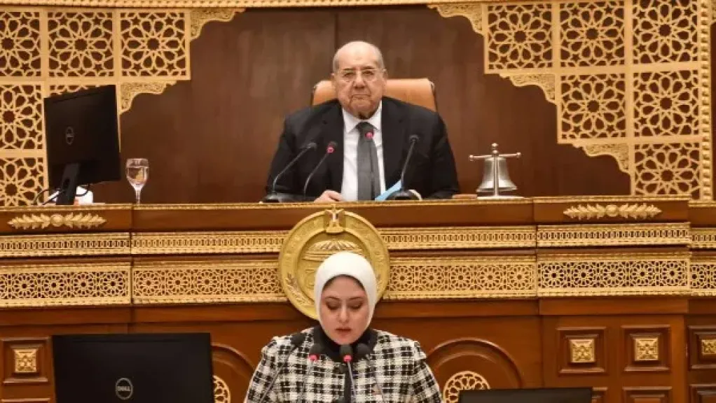 النائبة نهى أحمد زكى، عضو مجلس الشيوخ عن تنسيقية شباب الأحزاب والسياسين
