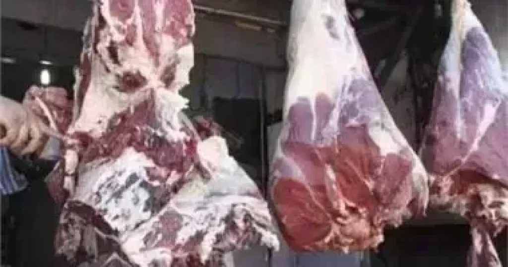 قرض البتلو