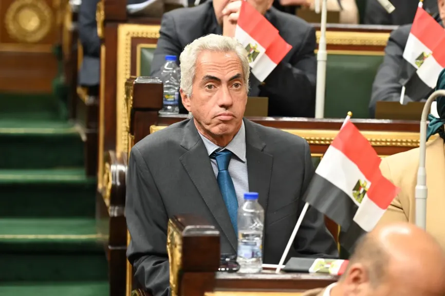 النائب عمرو السنباطي