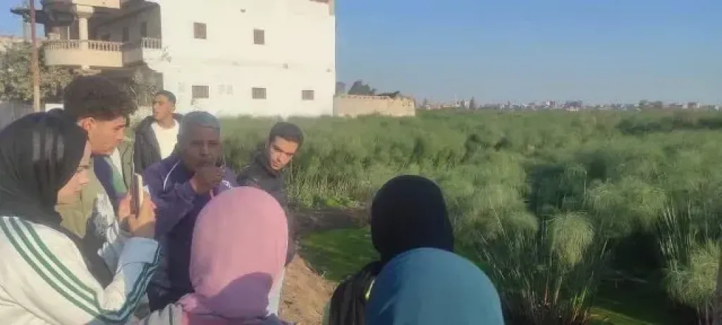 دورات تدريبية 