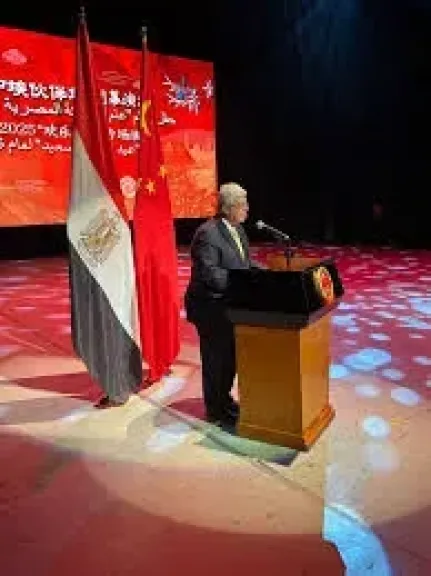 التعليم العالى