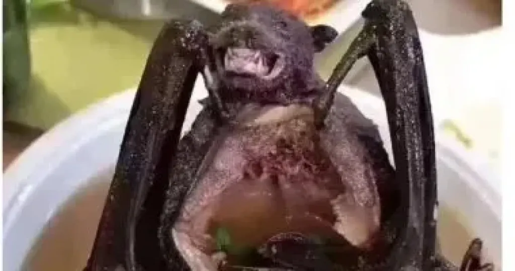 خفافيش 