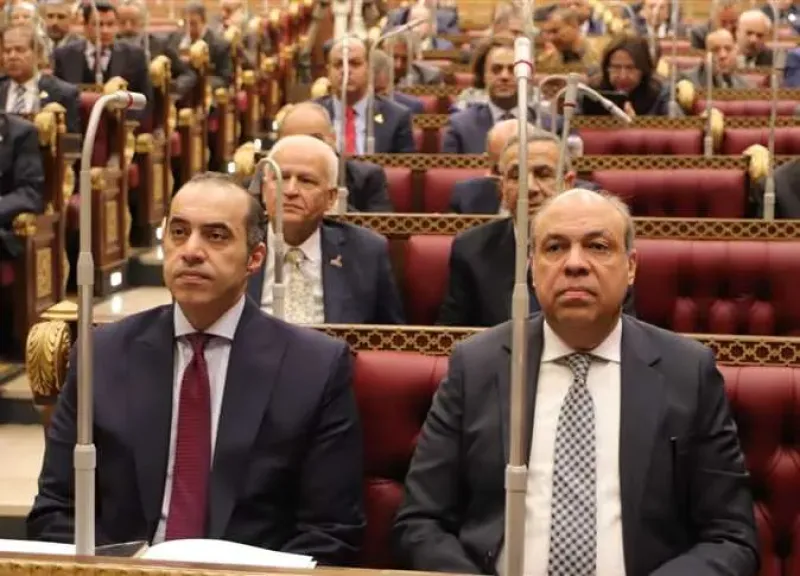 الجلسة العامة لمجلس الشيوخ