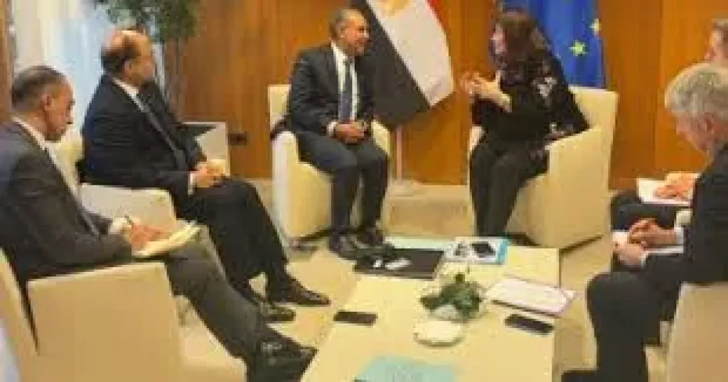 وزير الخارجية يؤكد ضرورة التعاون بمنطقة المتوسط 