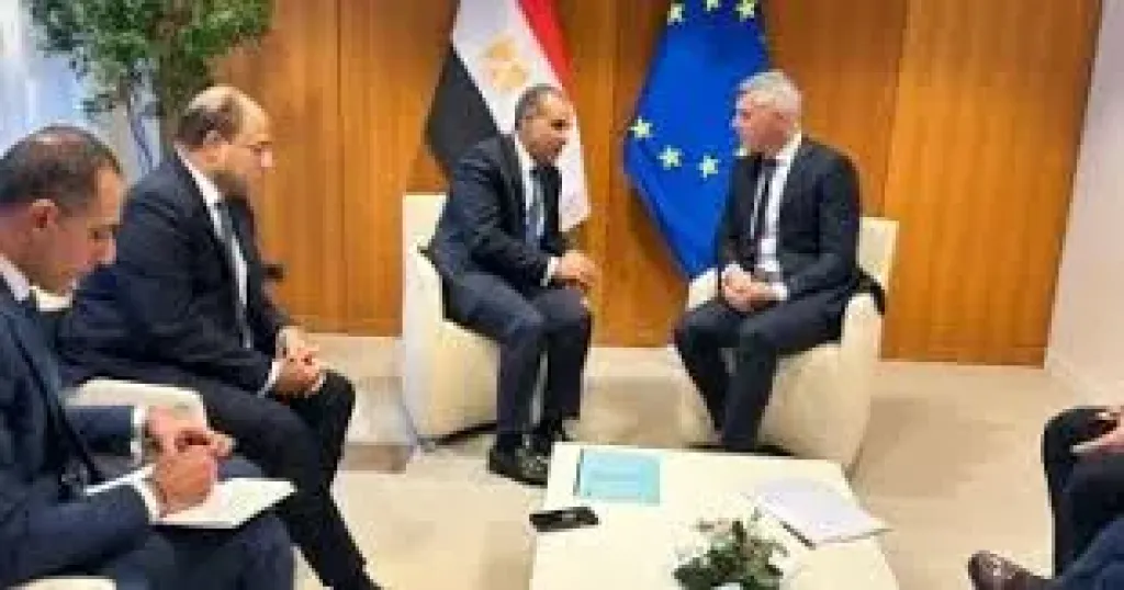 وزير الخارجية يلتقى مع نواب البرلمان الأوروبى