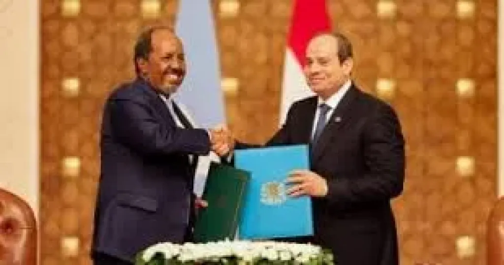 السيسي والرئيس الصومالي