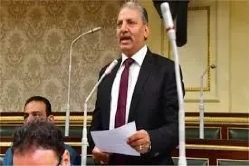 اللواء إبراهيم المصرى 