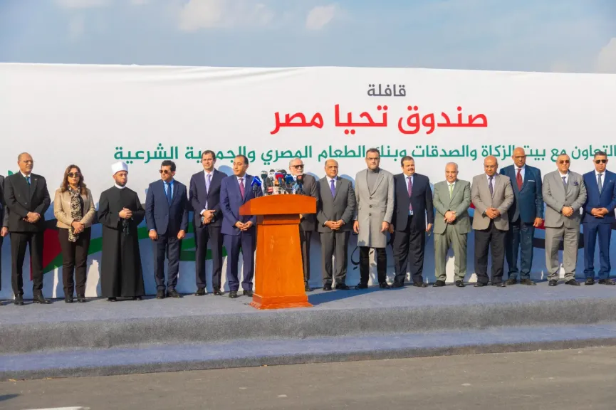 صندوق تحيا مصر 