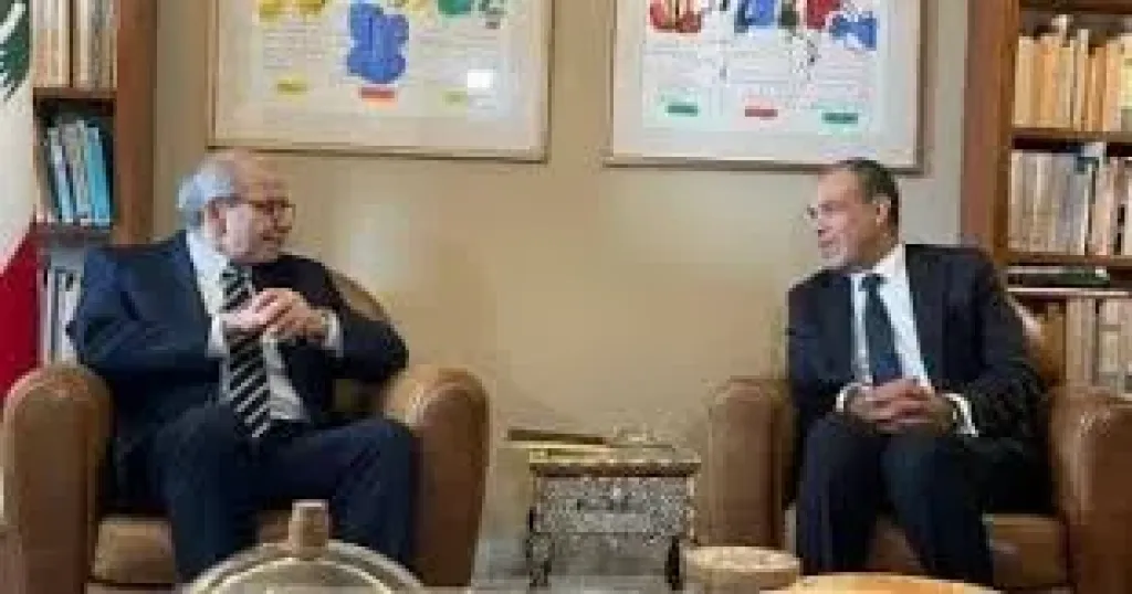 وزير الخارجية يلتقى رئيس الحكومة اللبنانية