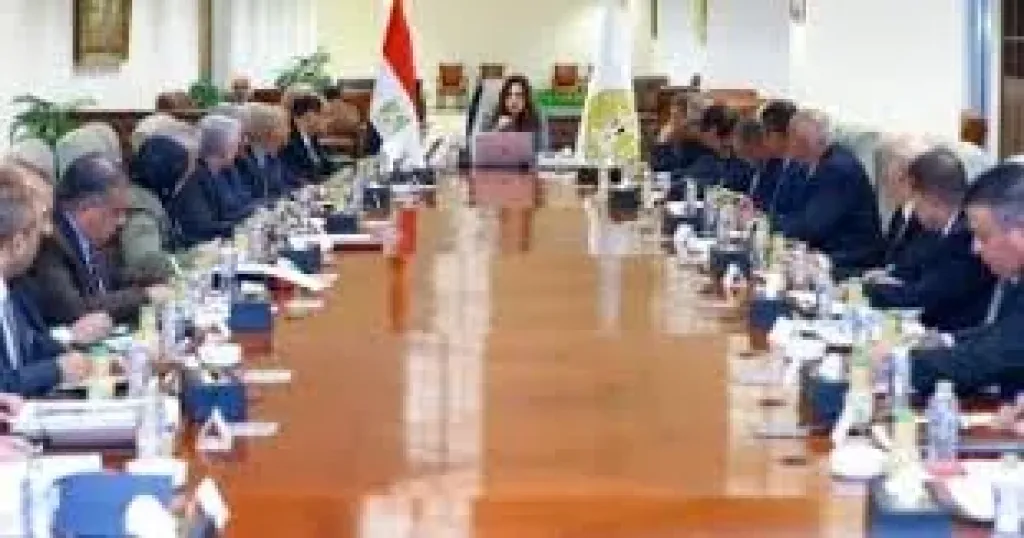 التنميه المحليه 