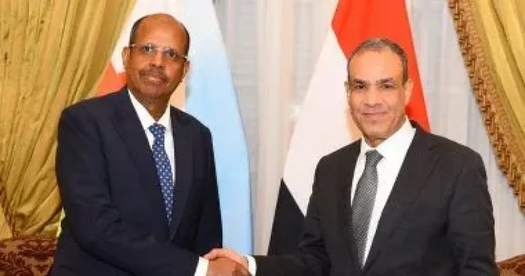 وزير الخارجية ونظيره الجيبوتى