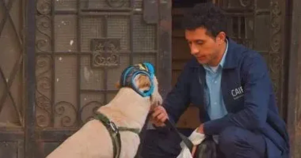 عصام عمر
