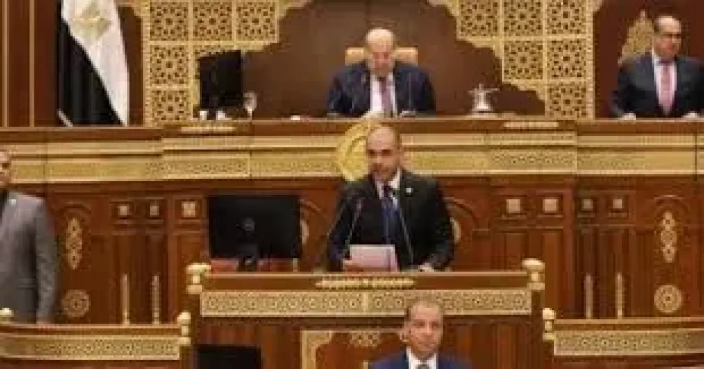 نائب التنسيقية