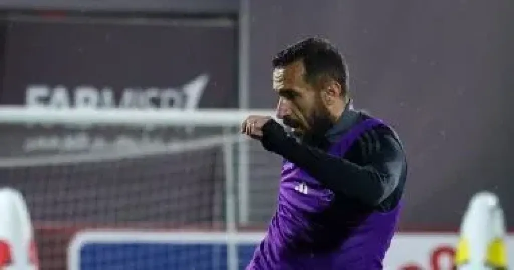 علي معلول