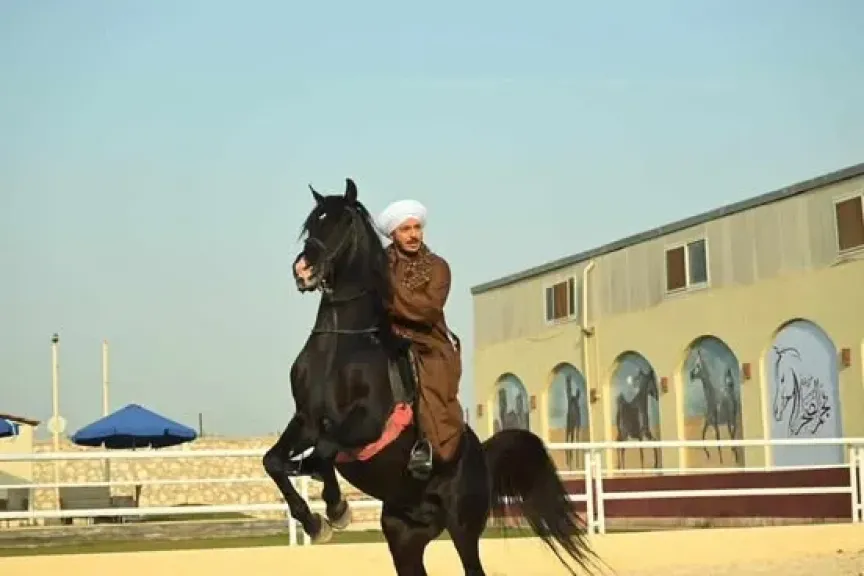 النجم مصطفى شعبان في مشهد من مسلسل حكيم باشا