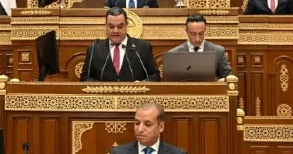 الجلسة العامة لمجلس الشيوخ