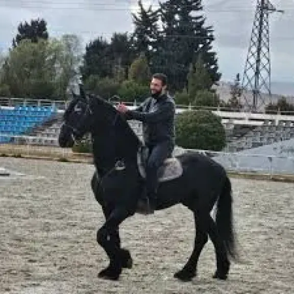 الشرع 