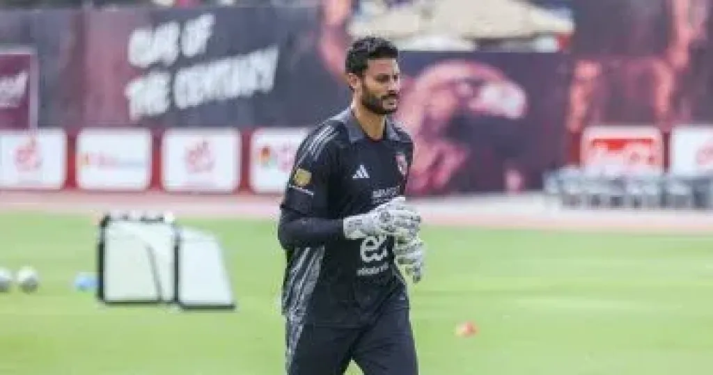 محمد الشناوي