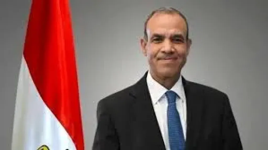 وزير الخارجية بدر عبد العاطي