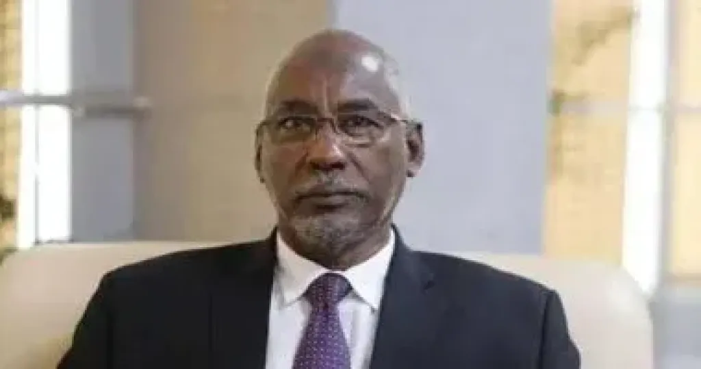 وزير الاتصالات والتحول الرقمى السودانى عادل حسن