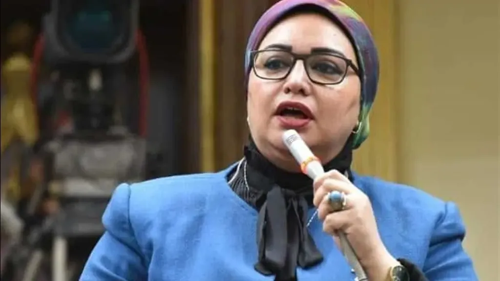 سولاف درويش، وكيل لجنة القوى العاملة بالنواب