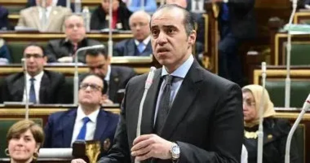  المستشار محمود فوزى
