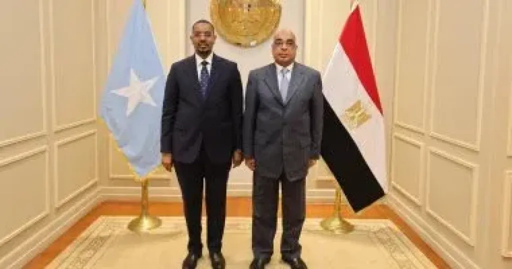 وزير العدل يستقبل وزير الدولة للعدل والشئون الدستورية الصومالي