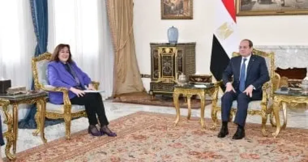 الرئيس السيسي خلال اللقاء