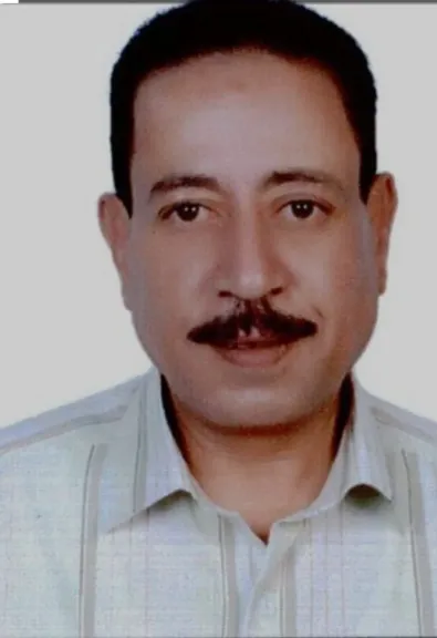 حسام حنفي