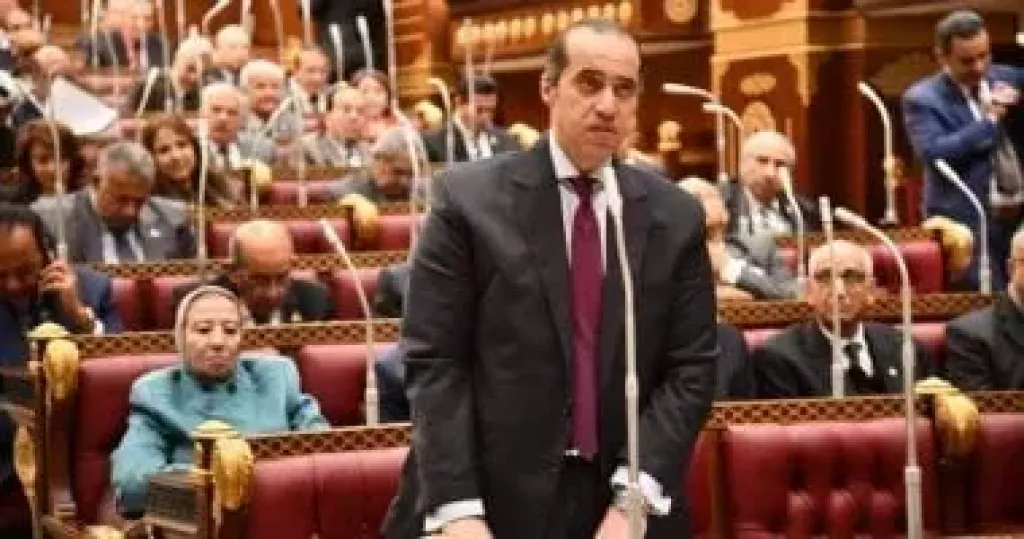 الوزير محمود فوزي