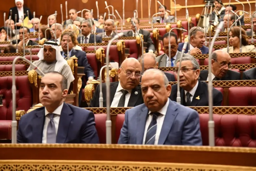 الدكتور محمود عصمت، بمجلس الشيوخ