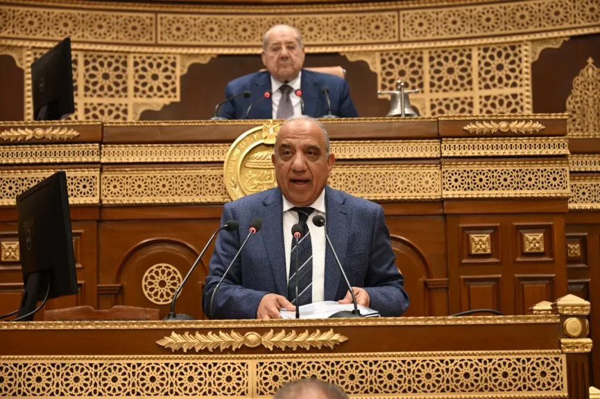 محمود عصمت، وزير الكهرباء بمجلس الشيوخ