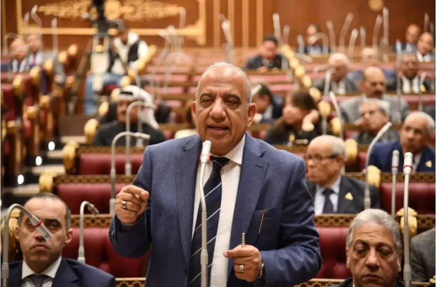 وزير الكهرباء أمام الشيوخ