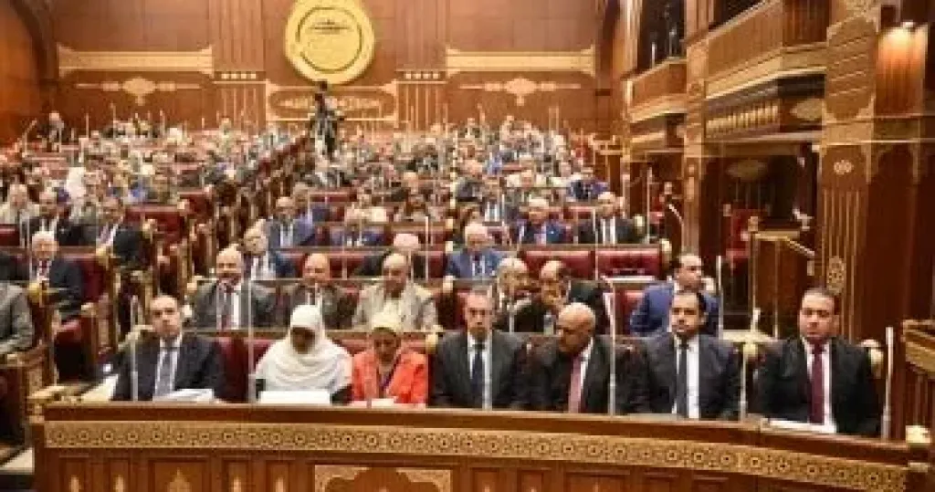 الجلسة العامة