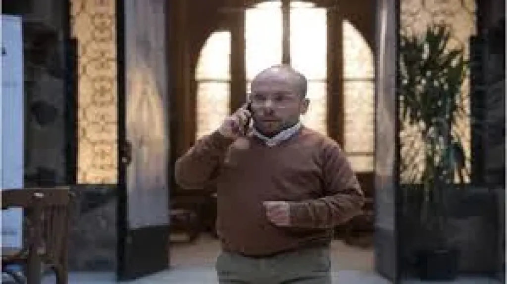 مينا أبو الدهب