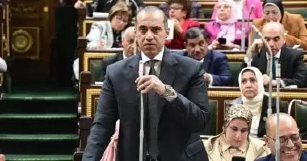 المستشار محمود فوزي