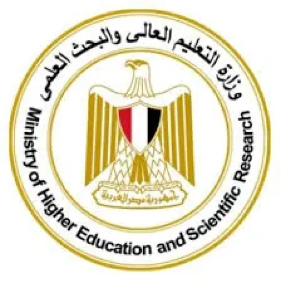 التعليم العالي 