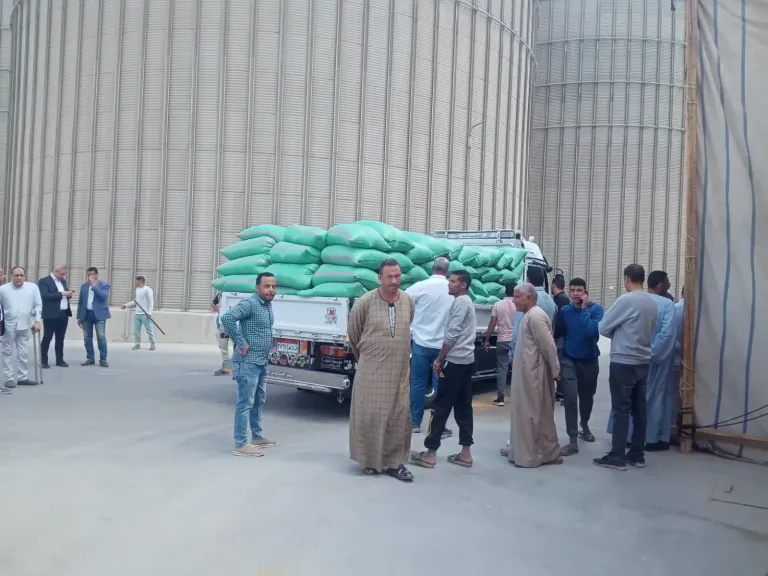 توريد إردب القمح