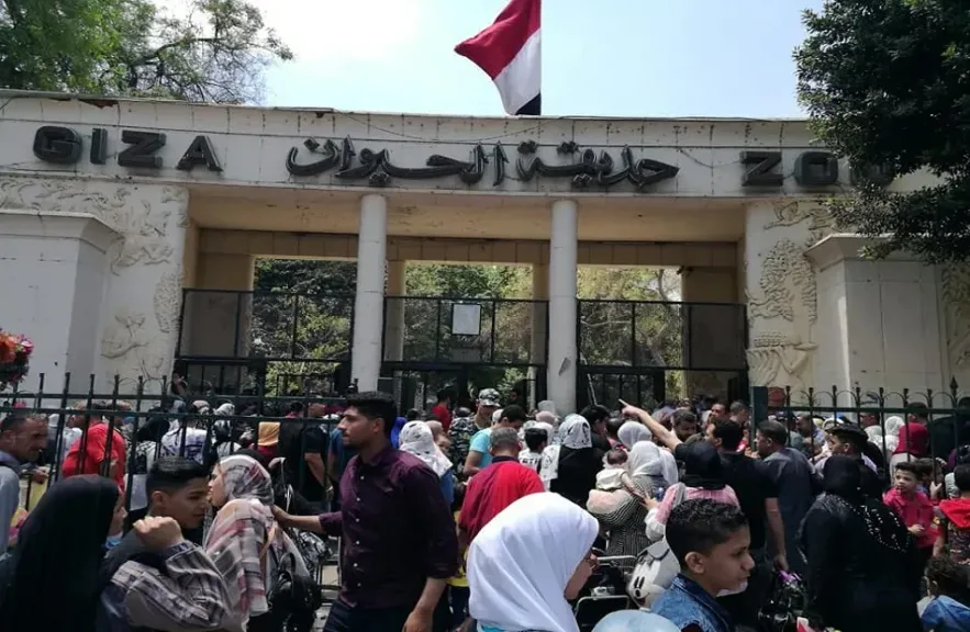 حديقة الحيوان 