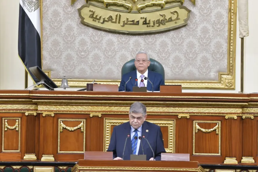 مجلس النواب 