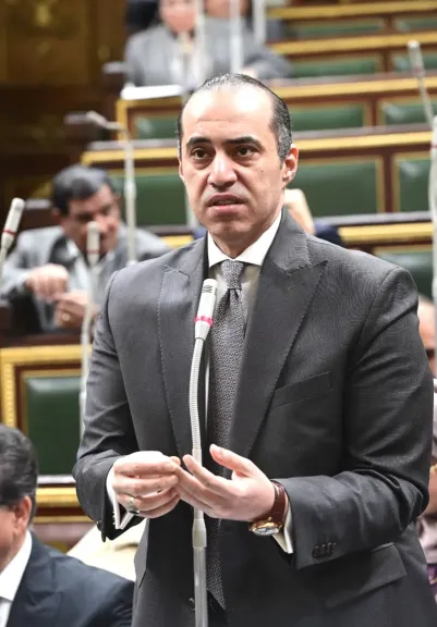 محمود فوزى