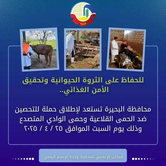 البيان