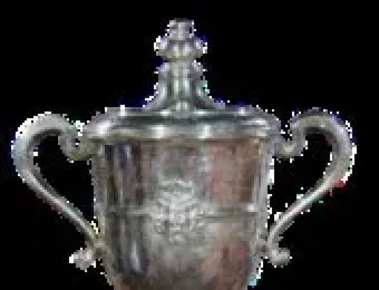 كأس مصر