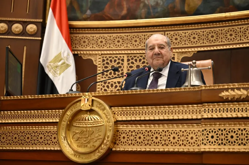 المستشار عبد الوهاب عبدالرازق