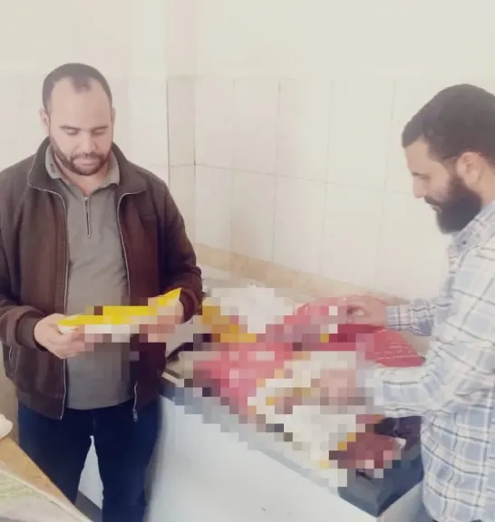 المضبوطات 
