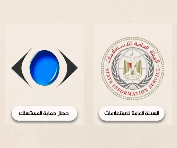 حماية المستهلك 